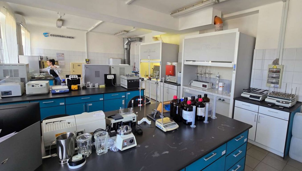 lab hungary