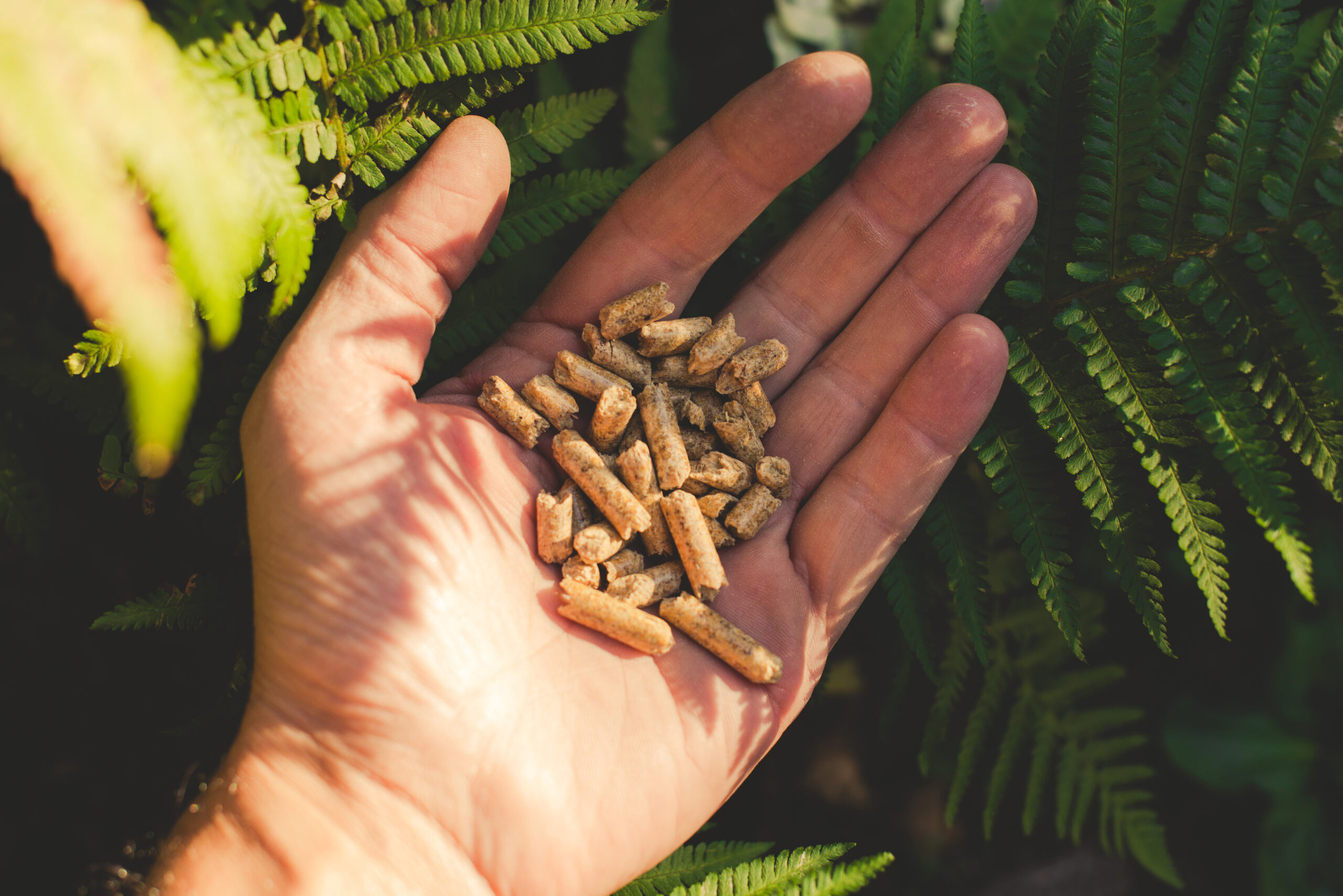 Certified Biomass and Bioenergy